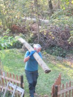 /album/vivere-n-svizzera/a10443277-1504092603166689-6949399806362642228-o-jpg/