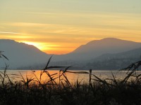 /album/vivere-n-svizzera/a1048415-1515471985362084-333406056105138360-o-jpg/